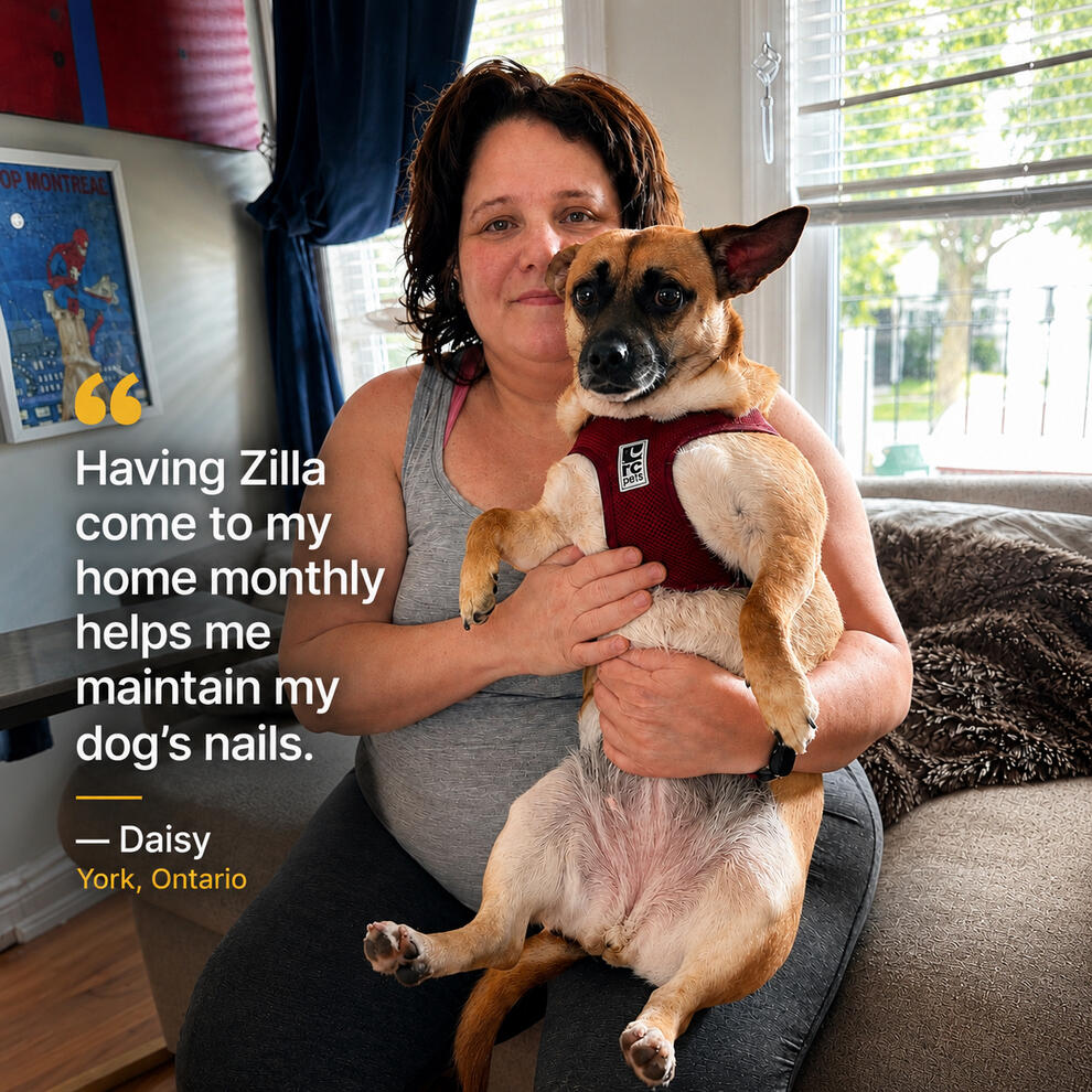 Daisy - York, ON